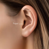Piercing + zirconium hélix et tragus 892-116
