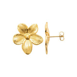 Boucles en acier doré 880j1092