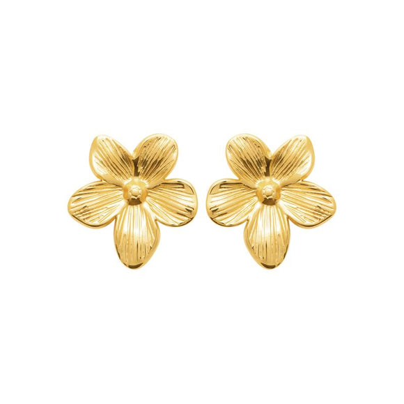 Boucles en acier doré 880j1092
