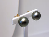 Boucles d'oreilles en or jaune 18ct et perles de Tahiti 384-287