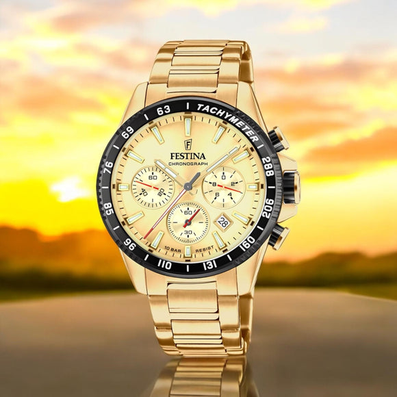 Chrono Festina F20634-6