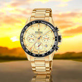 Chrono Festina F20634-6