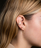 Piercing ZAG Cedros en acier doré