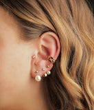 Piercing ZAG Kangaroo en acier doré