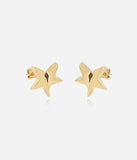 Boucles d'oreilles ZAG Angel en acier doré