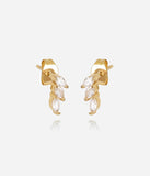 Boucles d'oreilles ZAG Tanami en acier doré
