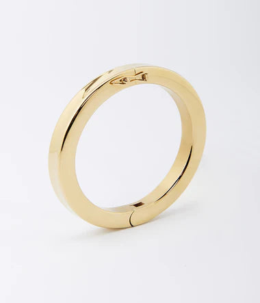 Bracelet Jonc Darwin en acier doré