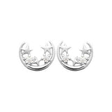 Boucles étoiles