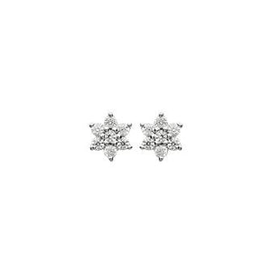 Boucles en Argent 1529410