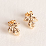 Boucles courtes Liane