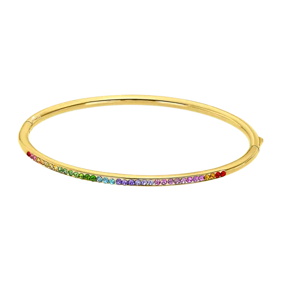 Bracelet rigide LS2111-2-5